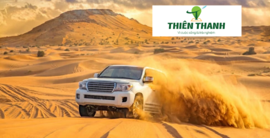 Desert Safari