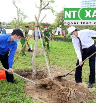 Giới Thiệu Dịch Vụ Trồng Cây Xanh Tại Bến Cát Bình Dương