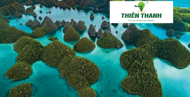 Khám Phá Du Lịch Bali -Nusa Penida