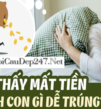 Mơ Thấy Mất Tiền Đánh Con Gì?
