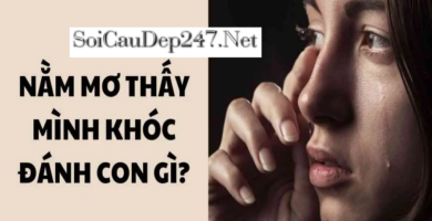Giải Mã Mơ thấy mình khóc đánh con gì?