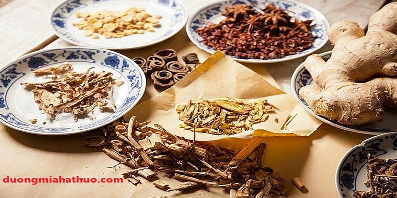 thuoc-dong-y-trị tiểu đường