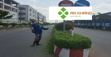 Dịch Vụ Chăm Sóc Cây Xanh Tại KCN Bình Dương