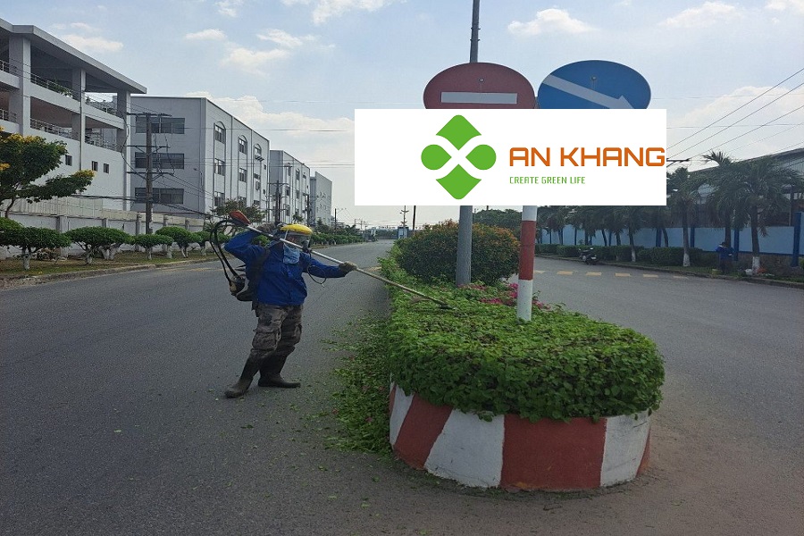 Dịch Vụ Chăm Sóc Cây Xanh Tại KCN Bình Dương