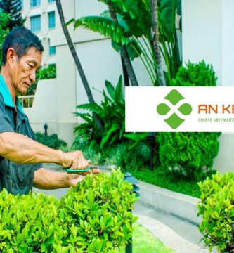 Dịch Vụ Chăm sóc cây xanh tại Bình Dương