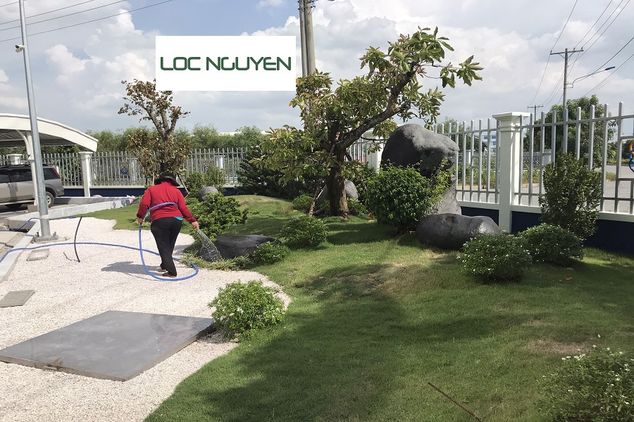 Giới Thiệu Công Ty Chăm Sóc Cây Xanh Bến Lức Long An