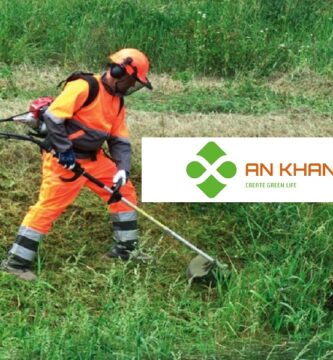 Dịch Vụ Phát Cỏ Hoang Tại Bình Dương