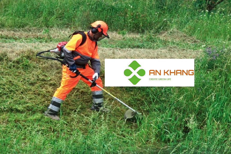 Dịch Vụ Phát Cỏ Hoang Tại Bình Dương