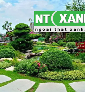 Giới Thiệu Dịch Vụ Trồng Cây Cảnh Tại Bình Dương