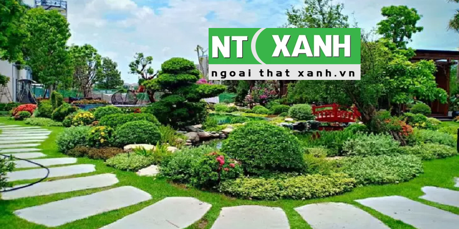 Giới Thiệu Dịch Vụ Trồng Cây Cảnh Tại Bình Dương