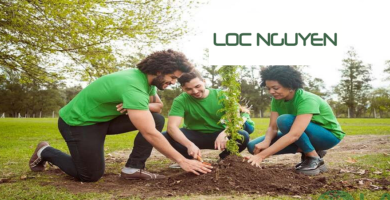 Giới Thiệu Dịch Vụ Trồng Cây Xanh Tại Châu Thành Long An