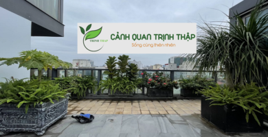 Dịch Vụ Thi Công Sân Vườn Tại Ba Đình Hà Nội