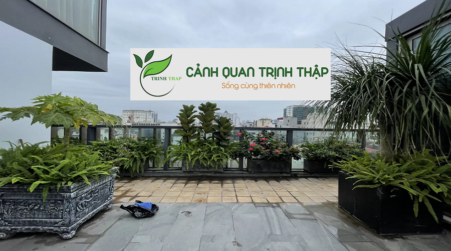 Dịch Vụ Thi Công Sân Vườn Tại Ba Đình Hà Nội