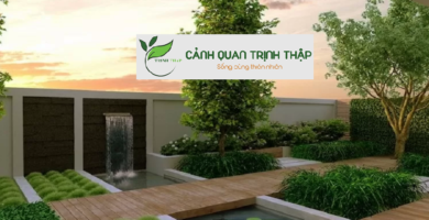 Thiết Kế Tiểu Cảnh Sân Vườn Tại Thanh Xuân Hà Nội