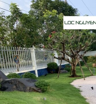 Dịch Vụ Thiết Kế và Thi Công Công Trình Cây Xanh Tại Long An
