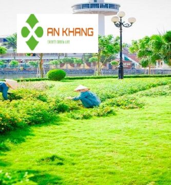 Chăm Sóc Cây Xanh Bình Dương