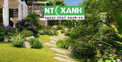 Giới Thiệu Dịch Vụ Trồng Cây Cảnh Tại Quận 4 TPHCM