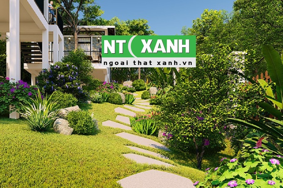 Giới Thiệu Dịch Vụ Trồng Cây Cảnh Tại Quận 4 TPHCM