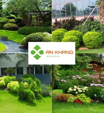 Chăm sóc cây xanh tại Bình Dương