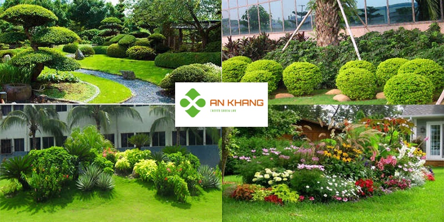 Chăm sóc cây xanh tại Bình Dương