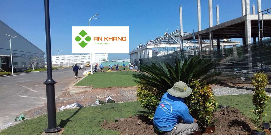 Chăm sóc cây xanh trong KCN Bình Dương