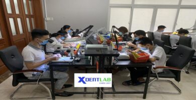 Dental Labs in vietnam District 2 Ho Chi Minh City