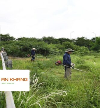 Dịch Vụ Cắt Cỏ Bình Dương