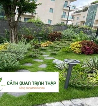 Thiết Kế Tiểu Cảnh Sân Vườn Tại Hà Nội