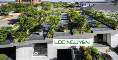 Thiết Kế và Thi Công Công Trình Cây Xanh tại Long An