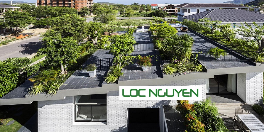 Thiết Kế và Thi Công Công Trình Cây Xanh tại Long An