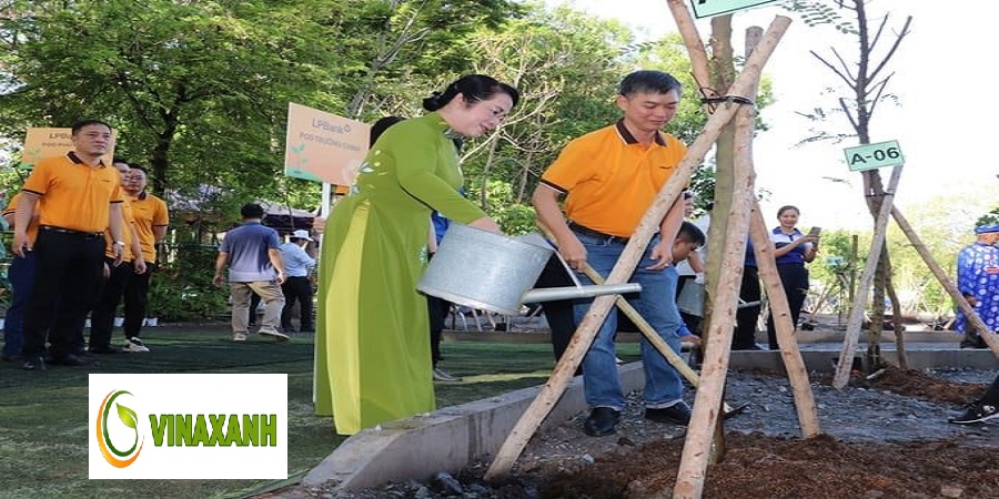 Trồng Cây Xanh Tại Quận 5 TP.HCM