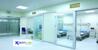Vietnam Dental Laboratories District 3 Ho Chi Minh City