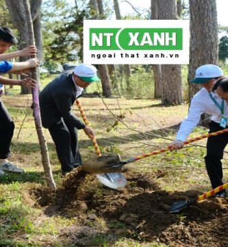 Chăm sóc cây xanh tại Đà Lạt