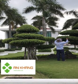 Chăm sóc cây xanh tại KCN Bàu Bàng