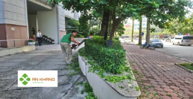 Chăm sóc cây xanh tại KCN Mỹ Phước