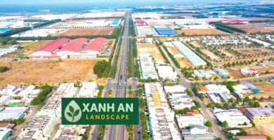 Công Ty Thiết Kế Cảnh Quan Bàu Bàng