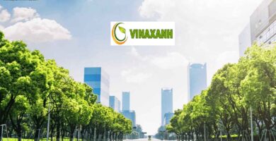 Cung Cấp Cây Xanh TPHCM