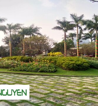 Dịch Vụ Cây Xanh Bến Lức Long An