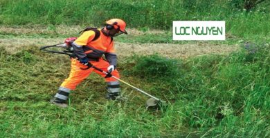 Đơn vị cắt cỏ tại quận 3 Hồ Chí Minh
