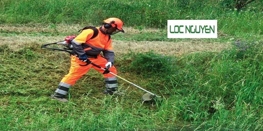 Đơn vị cắt cỏ tại quận 3 Hồ Chí Minh