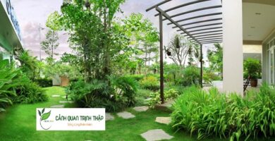 Thiết Kế Tiểu Cảnh Sân Vườn Tại Hà Nội