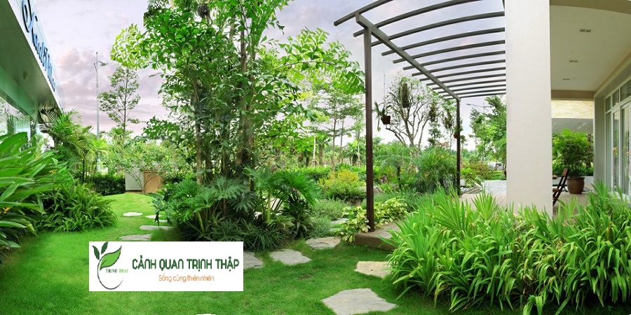 Thiết Kế Tiểu Cảnh Sân Vườn Tại Hà Nội