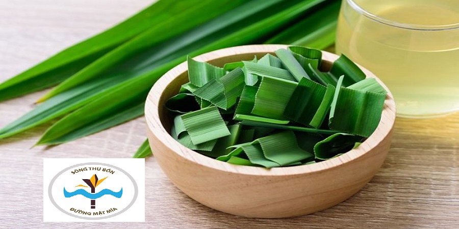 Tiểu đường nên uống lá gì? 13 loại lá trị tiểu đường hiệu quả