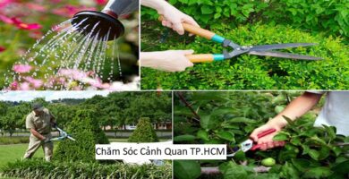 Chăm Sóc Cảnh Quan TP.HCM