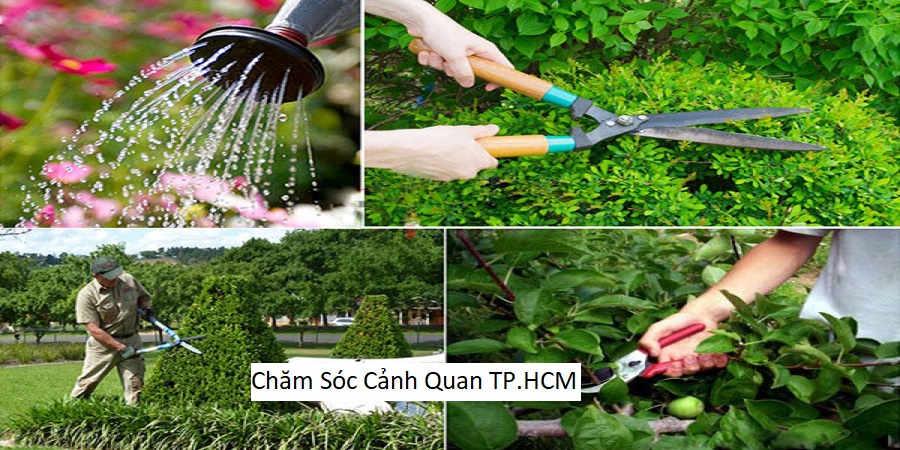 Chăm Sóc Cảnh Quan TP.HCM