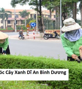 Chăm Sóc Cây Xanh Dĩ An Bình Dương