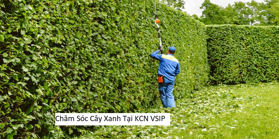 Chăm Sóc Cây Xanh Tại KCN VSIP