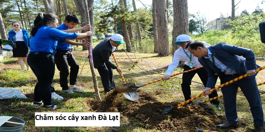 Chăm sóc cây xanh Đà Lạt