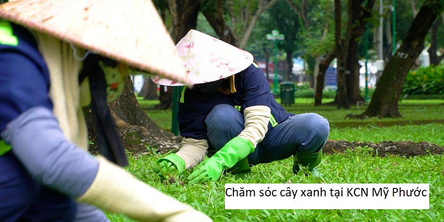Chăm sóc cây xanh tại KCN Mỹ Phước