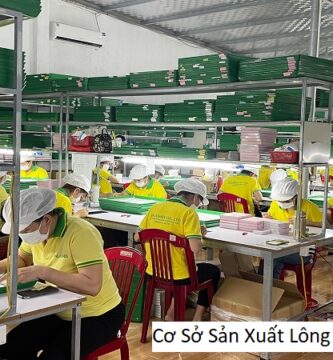 Cơ Sở Sản Xuất Lông Mi Giả Bình Dương